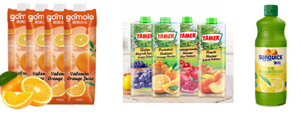 液體飲料灌裝機-蔬菜果汁灌裝機設(shè)備