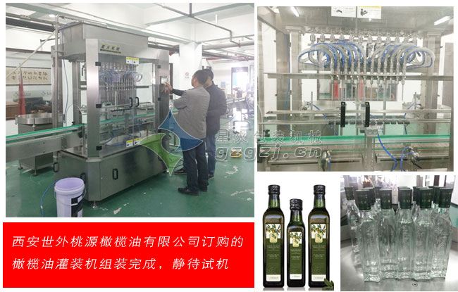 客戶訂購(gòu)的橄欖油灌裝機(jī)